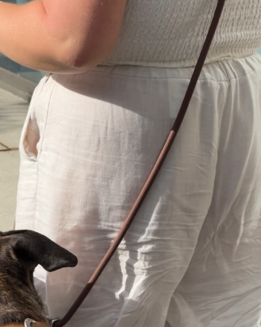 ST ARGO - Hands free Dog walking leash 🦮
