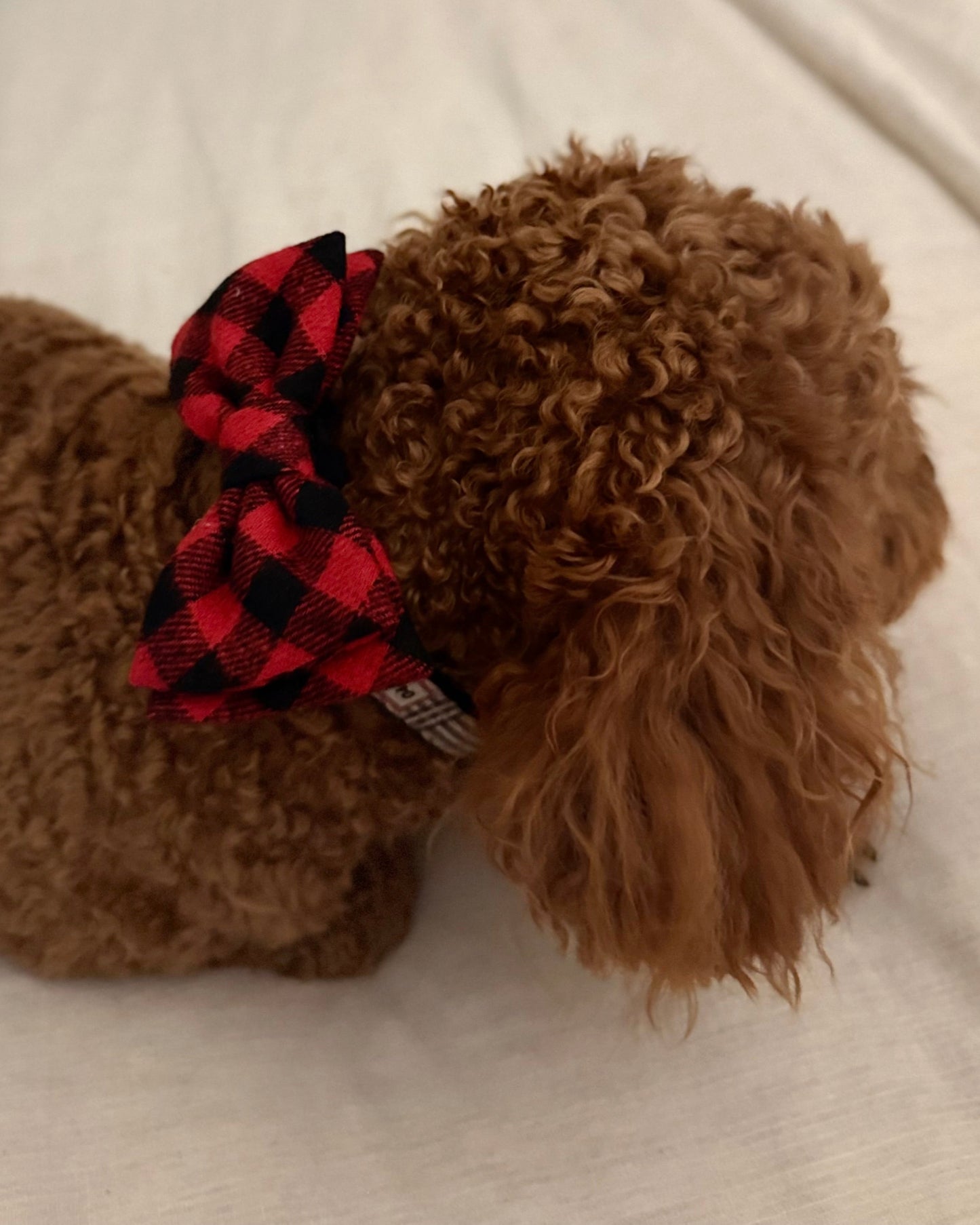 The Worthy Dog - Tan Plaid Bow Tie Small 🐶 🐈⬛