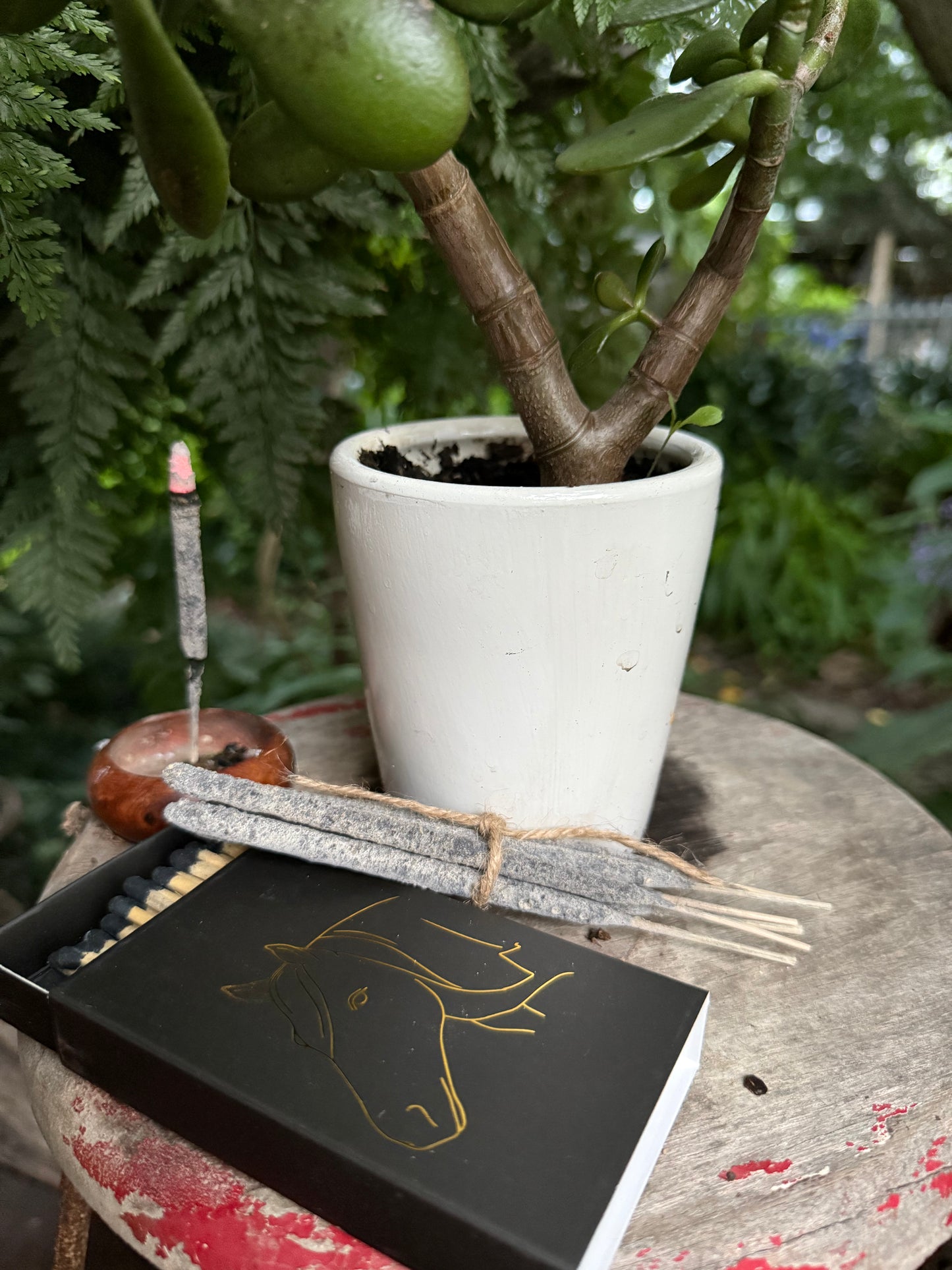 Wax Apothecary - Hand-rolled Incense: Choose Salvia Blanca or Copal