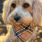 The Worthy Dog - Tan Plaid Bandana 🐶