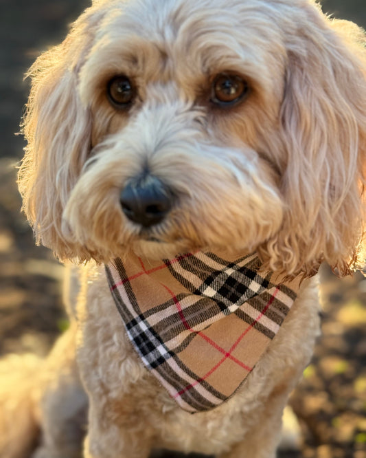 The Worthy Dog - Tan Plaid Bandana 🐶