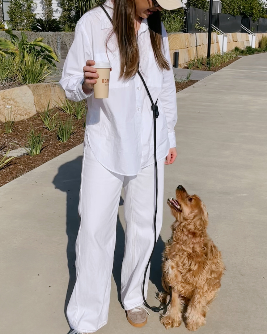 ST ARGO - Hands free Dog walking leash 🦮