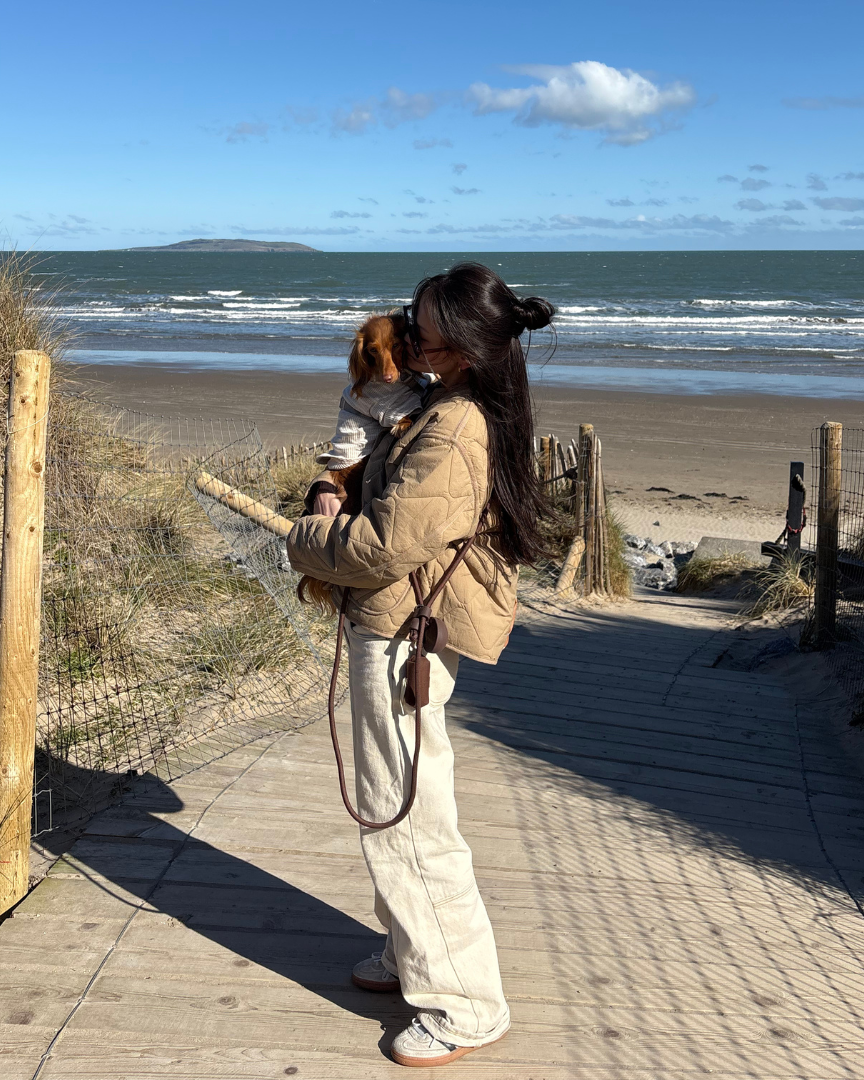 ST ARGO - Hands free Dog walking leash 🦮