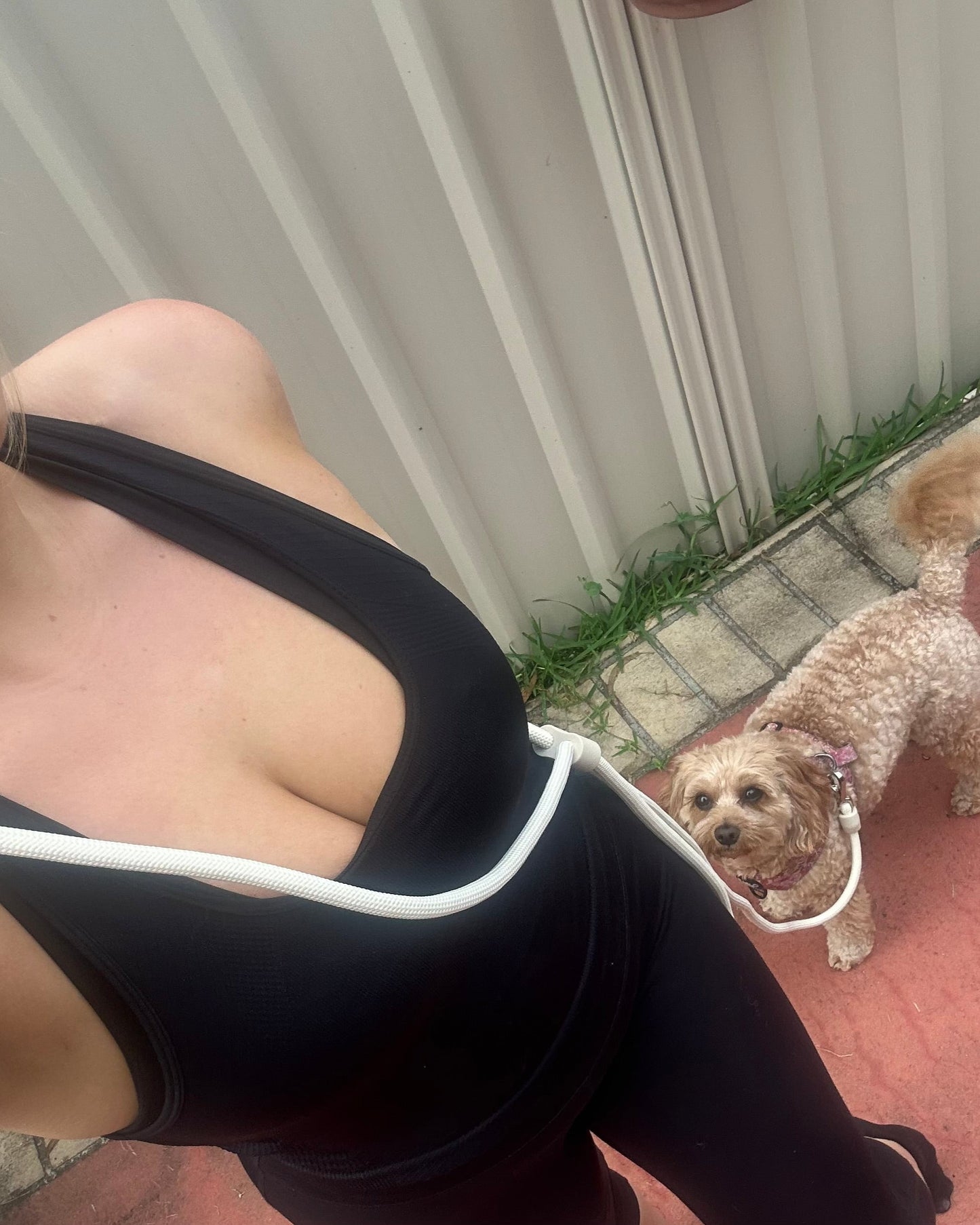 ST ARGO - Hands free Dog walking leash 🦮