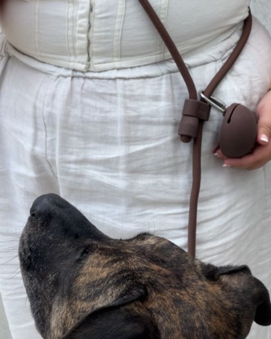 ST ARGO - Hands free Dog walking leash 🦮