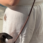 ST ARGO - Hands free Dog walking leash 🦮