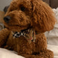 The Worthy Dog - Tan Plaid Bow Tie Small 🐶 🐈‍⬛