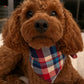 The Worthy Dog - Navy & Red Plaid Bandana ❤️💙