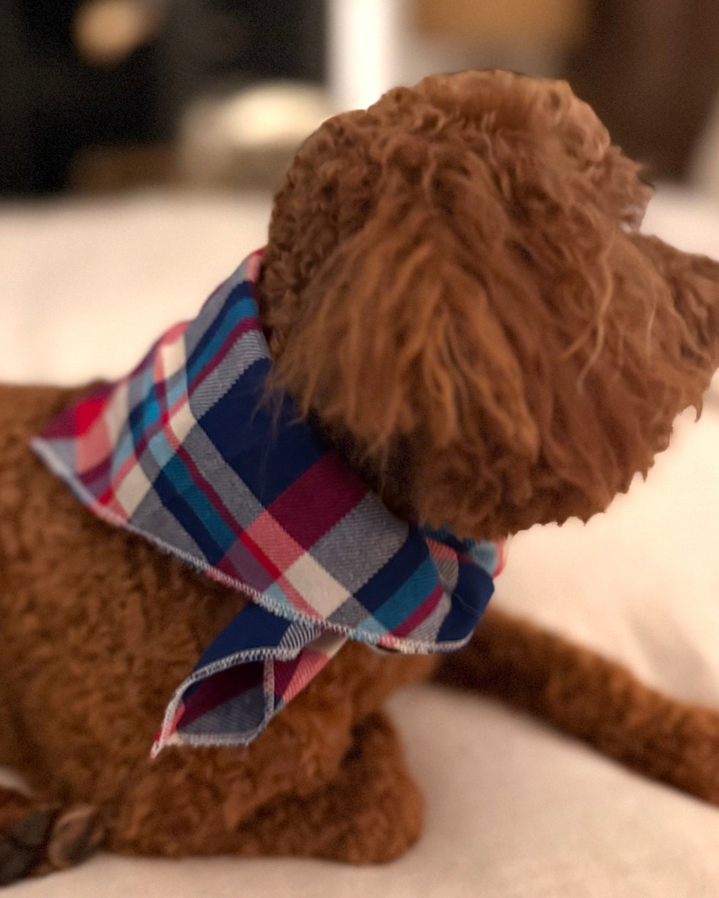 The Worthy Dog - Navy & Red Plaid Bandana ❤️💙