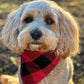The Worthy Dog - Black & Red Plaid Bandana 🐶❤️