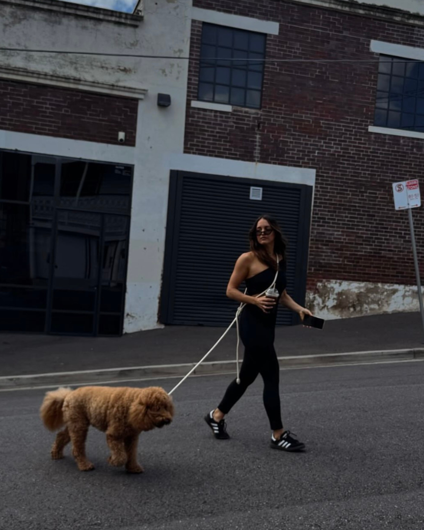 ST ARGO - Hands free Dog walking leash 🦮